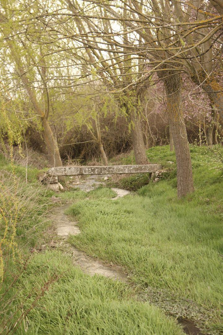 Fotografía de la galería de imágenes con id: 851